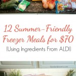 aldi-meal-plan-freezer-meals