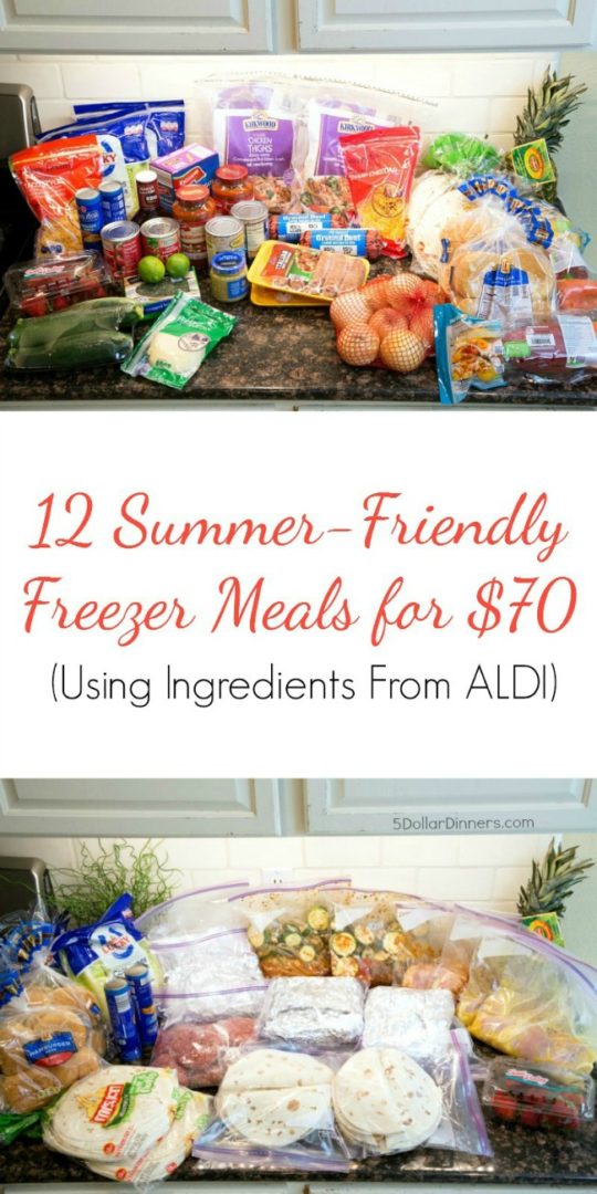 New Freezer Meal Plan - 12 Summer Friendly Freezer Meals 