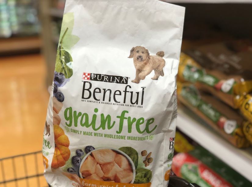 Dollar general best sale purina dog food