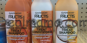 Garnier Fructis Treat Shampoo or Conditioner