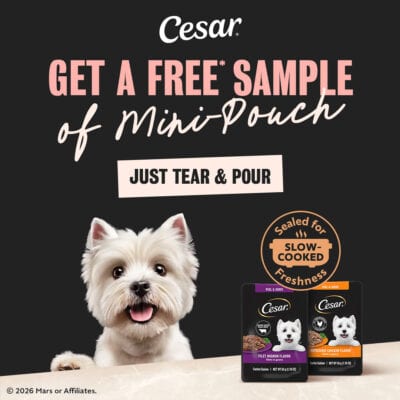 FREE CESAR Dog Food Sample