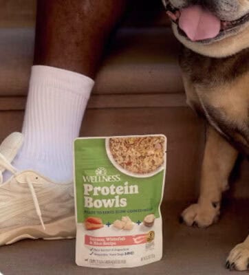 FREE Wellness Protein Bowls Dog Food Sample