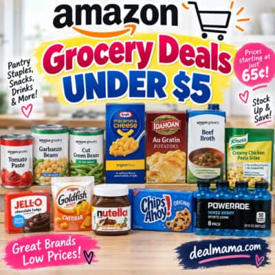 Amazon Grocery Deals Under $5 – Prices Starting at 65¢