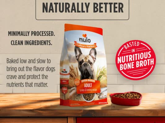 Free Nulo Culinary Harvest Dog Food Sample